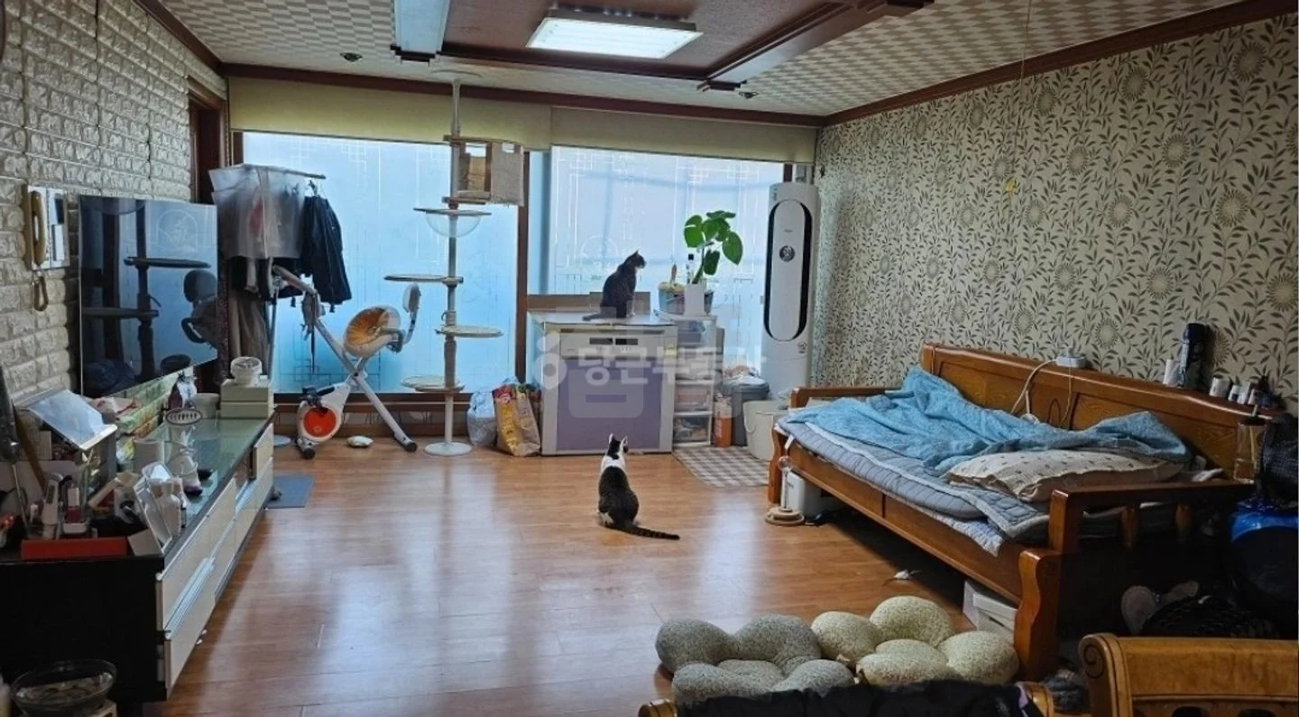 경기 부천시 소사구 괴안동 우성빌라 매매 2억 매물 이미지