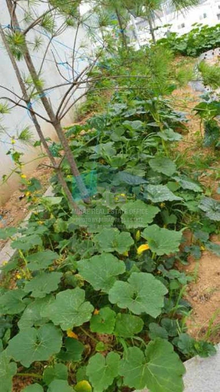 경기 파주시 조리읍 대원리 포엠빌10차 매매 2억7000만원 매물 이미지