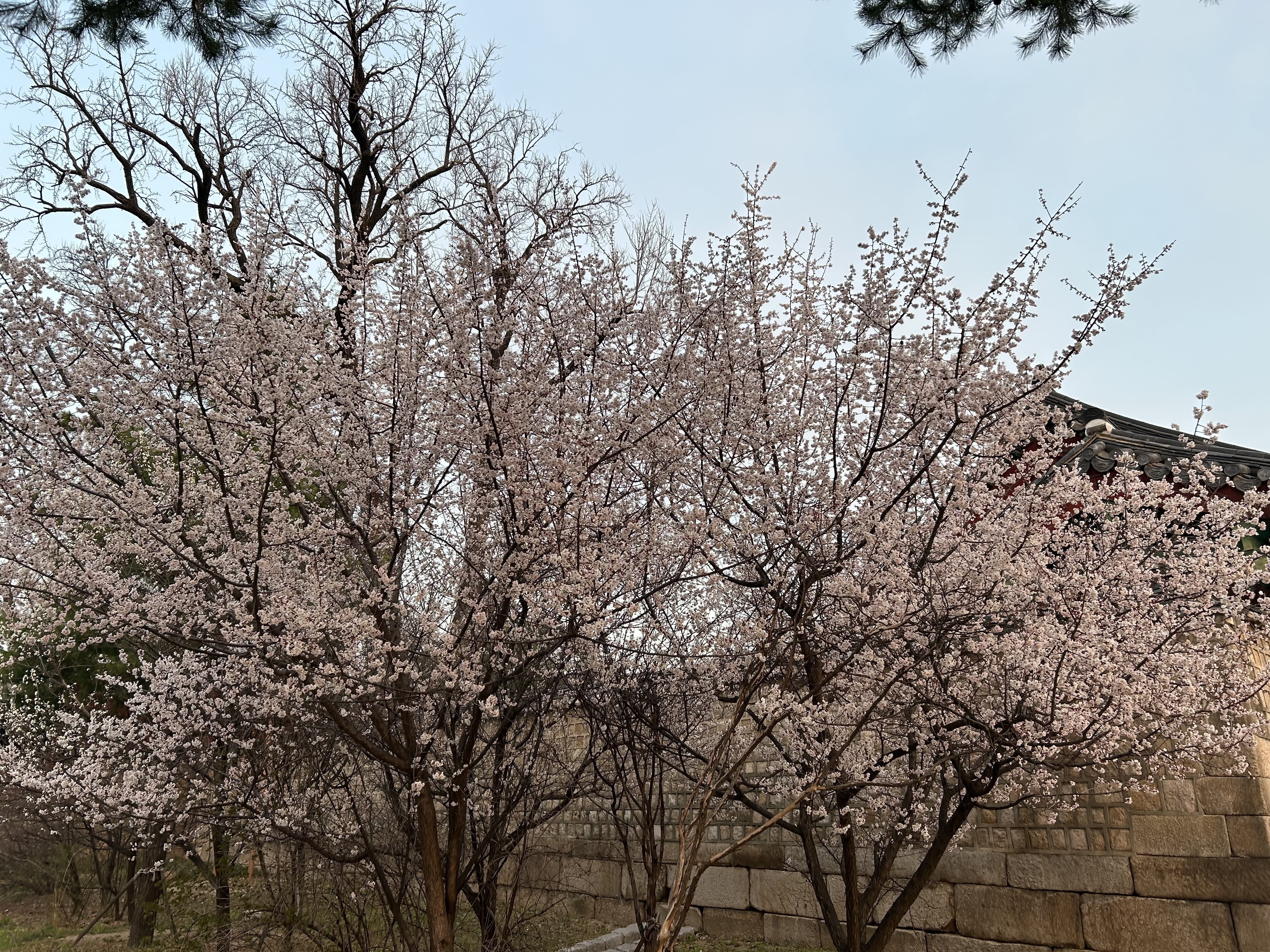 번동1단지주공 사진 리뷰