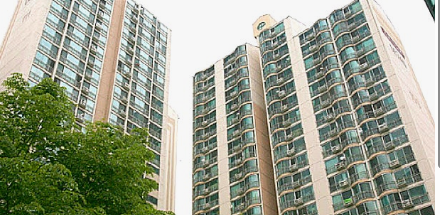대흥동태영 사진 리뷰
