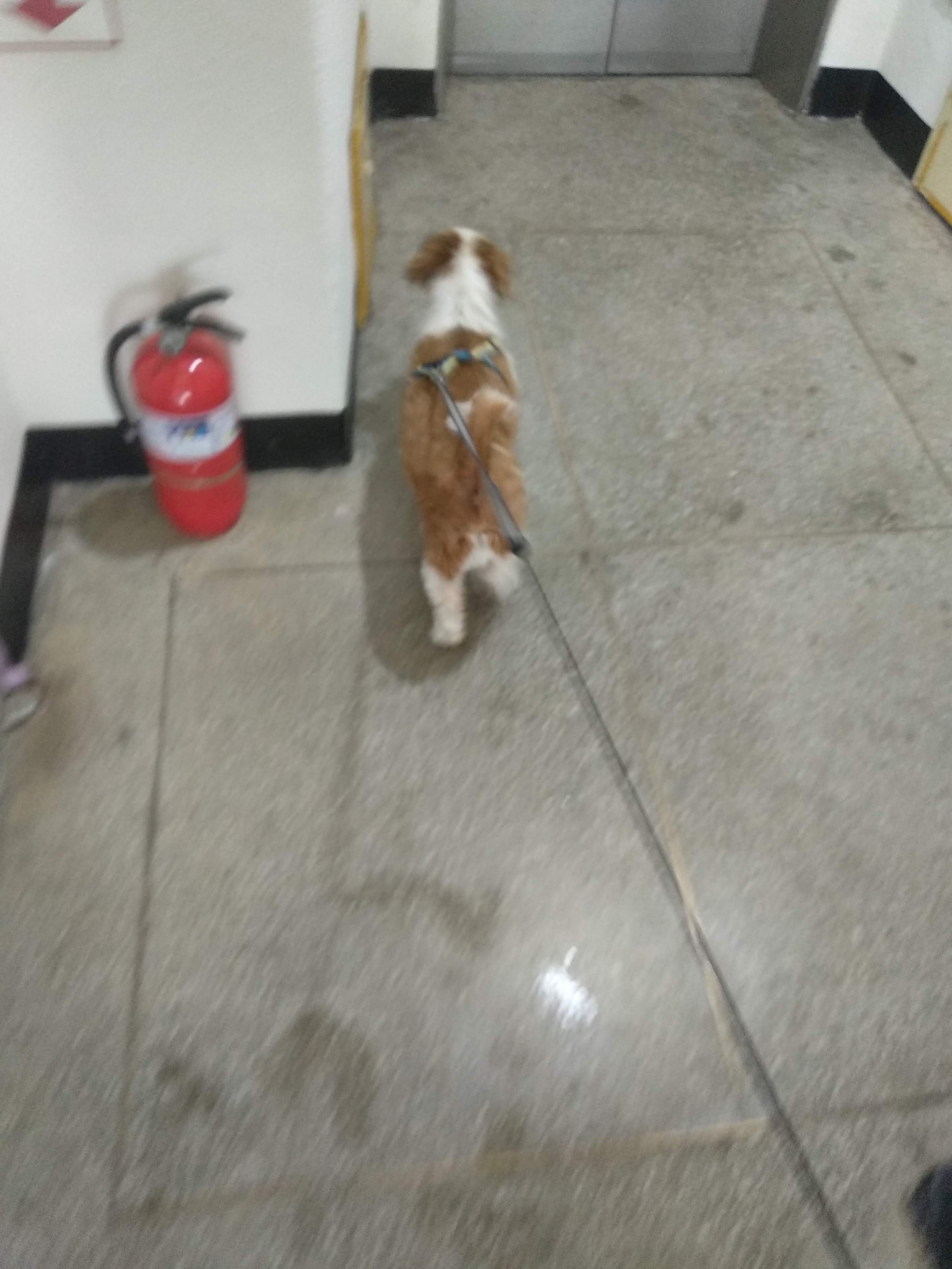 횡성태우아파트 사진 리뷰