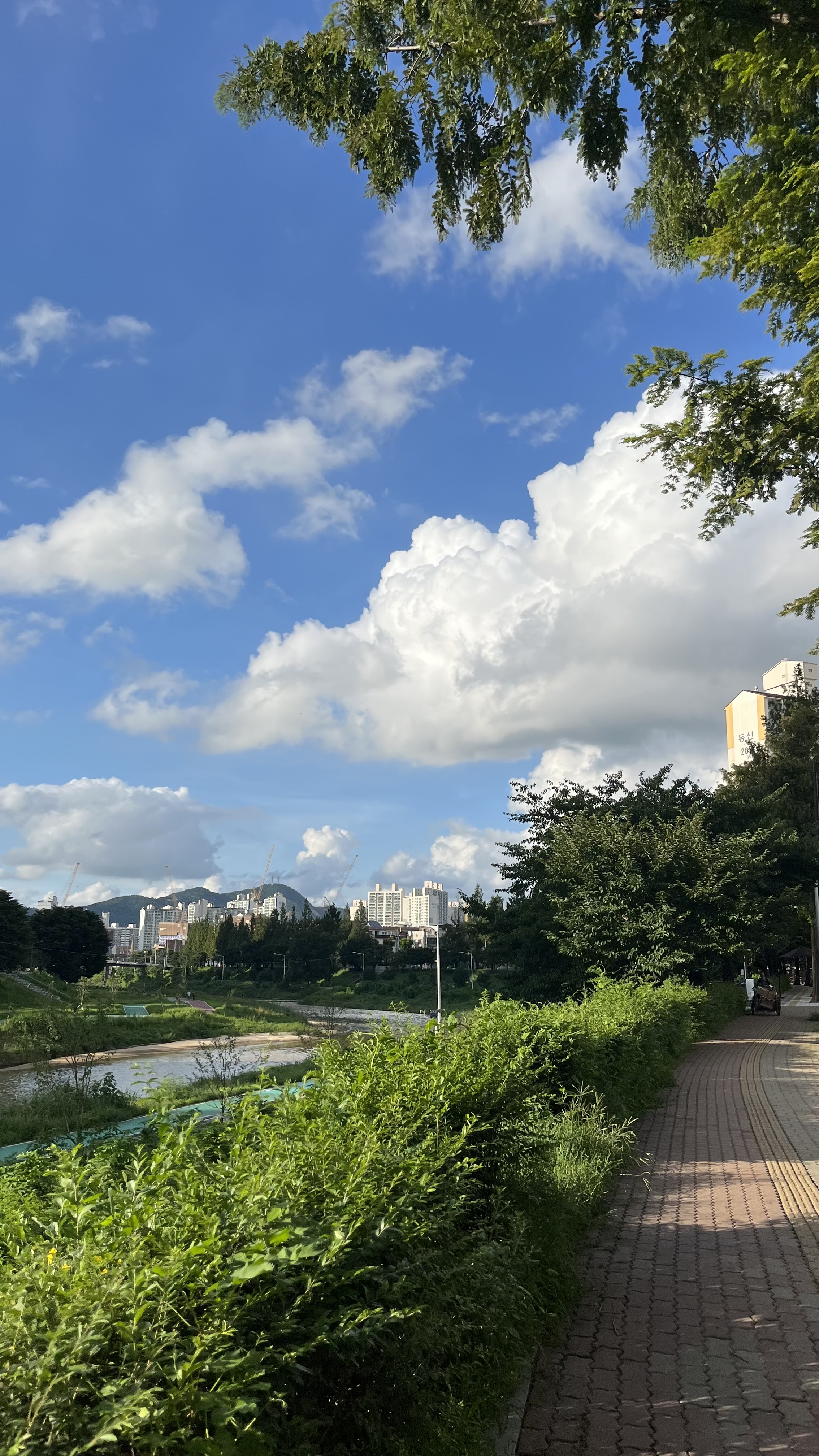 현대2차 사진 리뷰