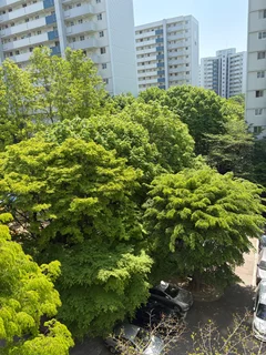 상계주공9단지 1