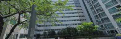 유림노르웨이숲 사진 리뷰